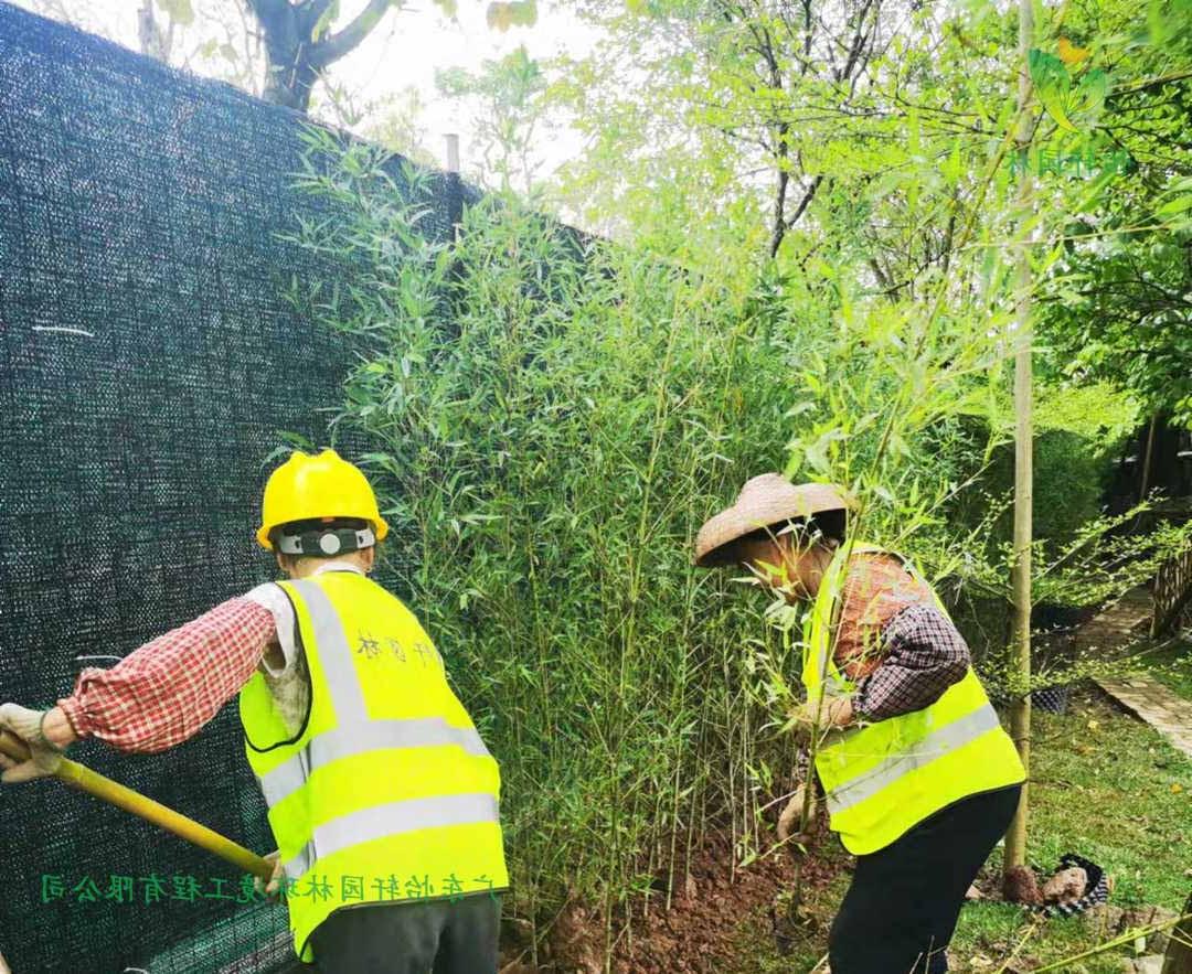 番禺露营基地欢迎访问十大电子网址种植现场